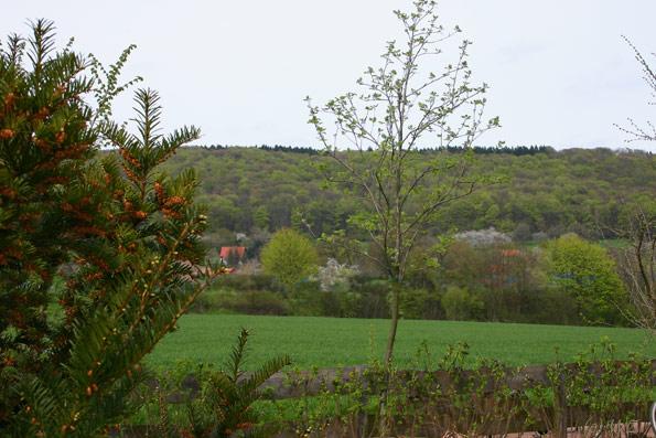Schaumburer Land01 